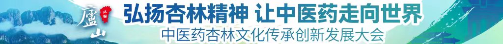 毛豆影视操逼中医药杏林文化传承创新发展大会